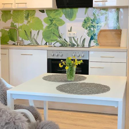 Apartment Eira Am Schleswiger Dom 外观 照片